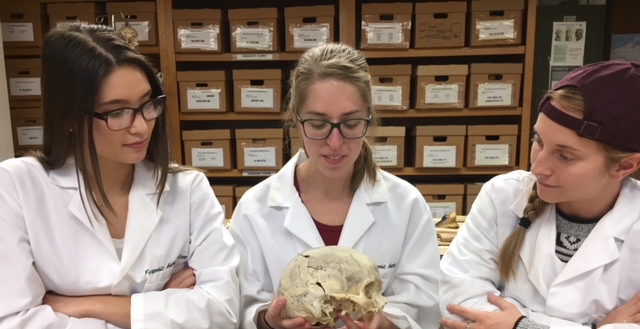 Three forensic anthropology PhD students examine a human skull